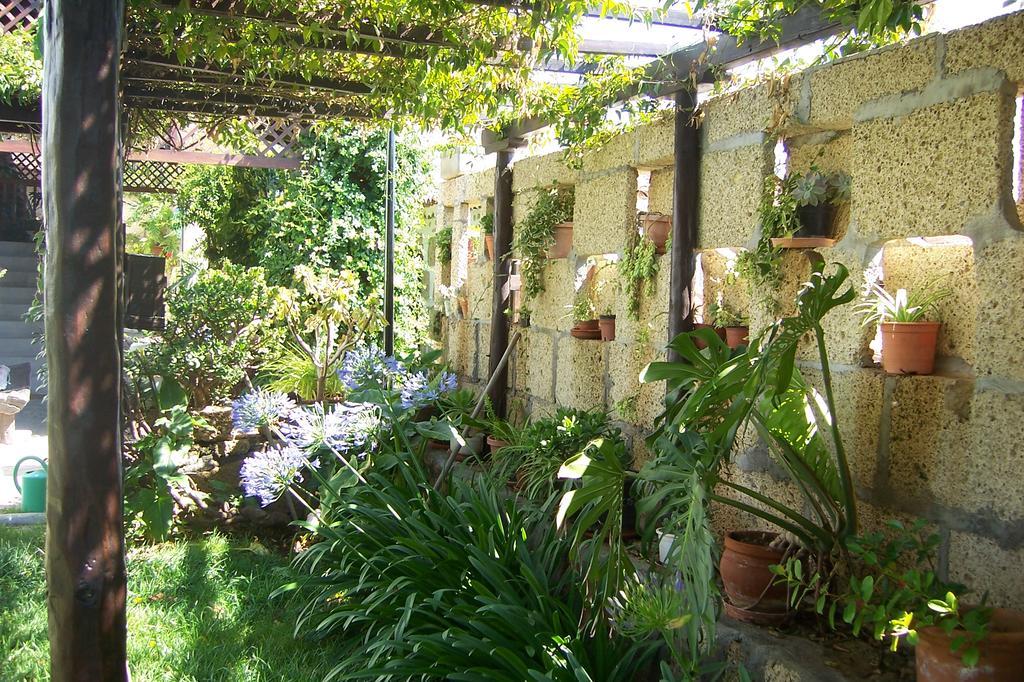 Anton Piche Casa rural Granadilla De Abona
