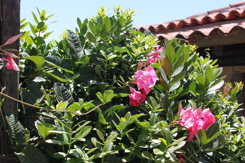 Anton Piche Casa rural Granadilla De Abona